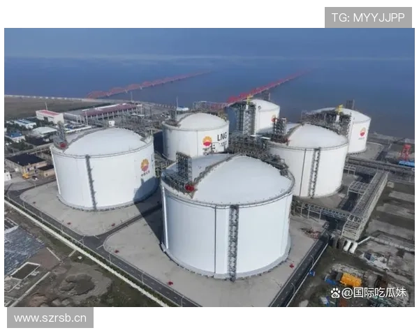 山东泰山深陷战术困局，老将依赖与体系重建如何破局