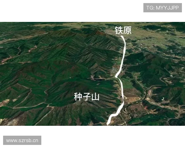 萨卡关键战表现与战术贡献是否达到外界预期? 萨卡关键战表现与战术贡献是否达到外界预期?
